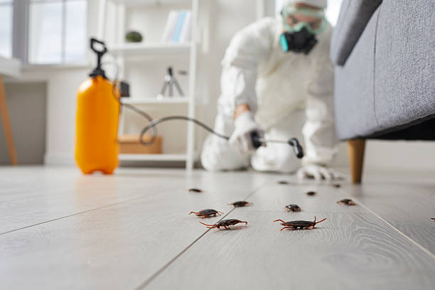 Trusted Fumigation Services service in Central Heights-Midland City, AZ - Nex Pest Control