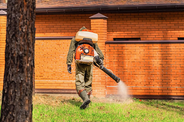 Trusted Mosquito Control service in Central Heights-Midland City, AZ - Nex Pest Control